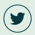 twitter-image
