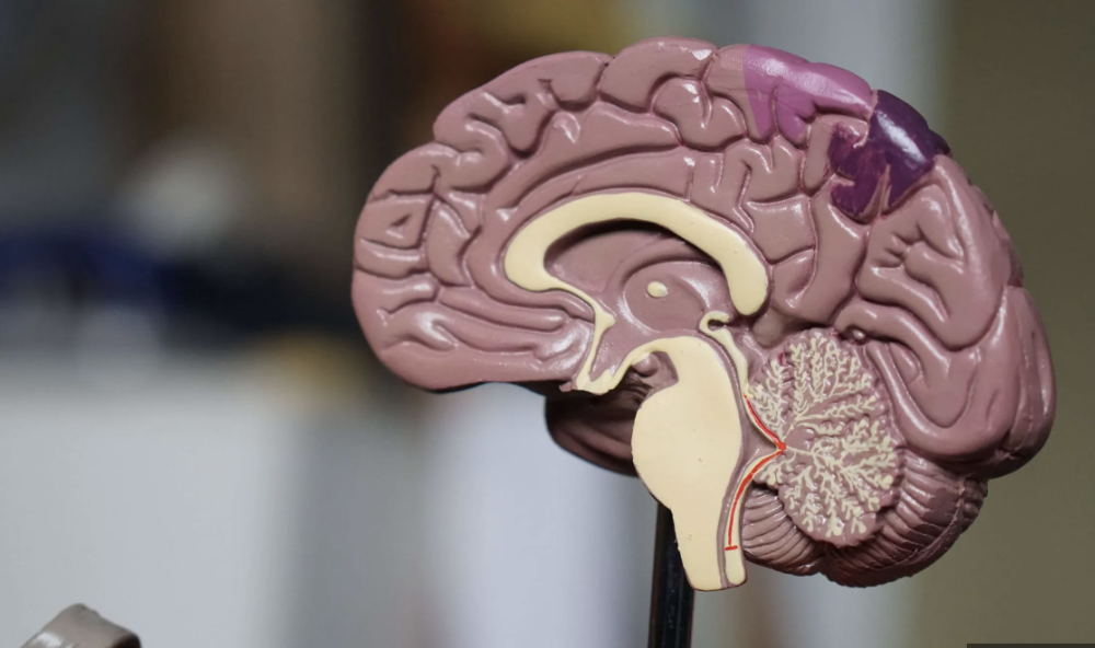 The Future of Mental Health Care in India: Trends and Innovations