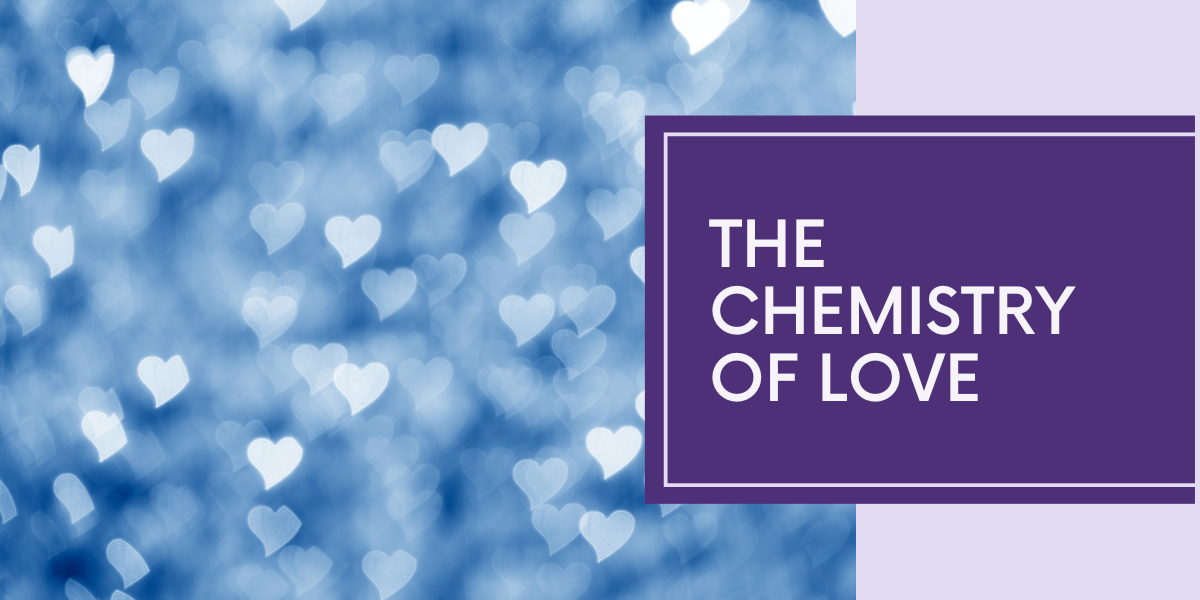 The Chemistry Of Love